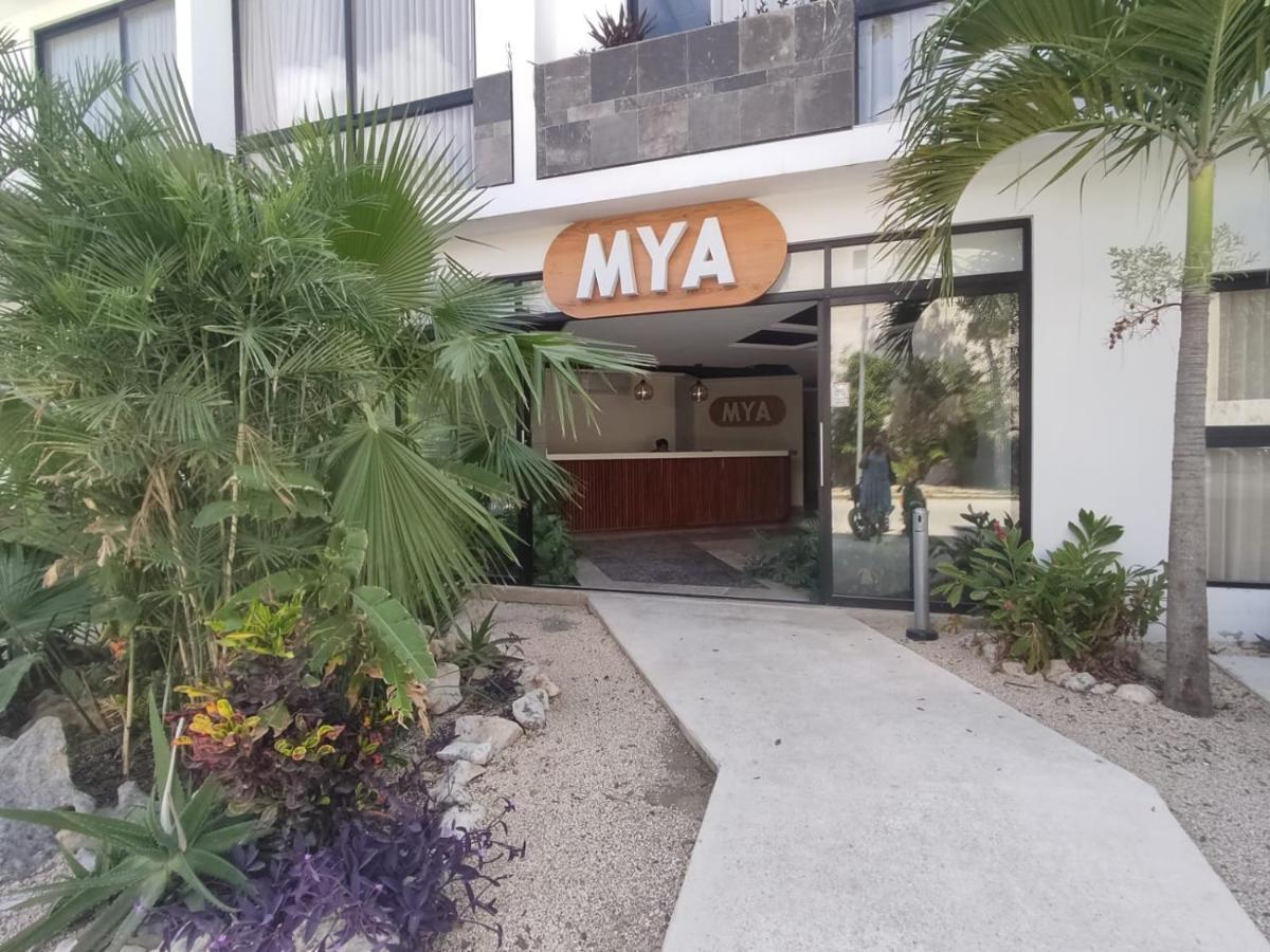 Nuevo Estudio Con Terraza Totalmente Equipado Tulum Aldea Zama Ngoại thất bức ảnh